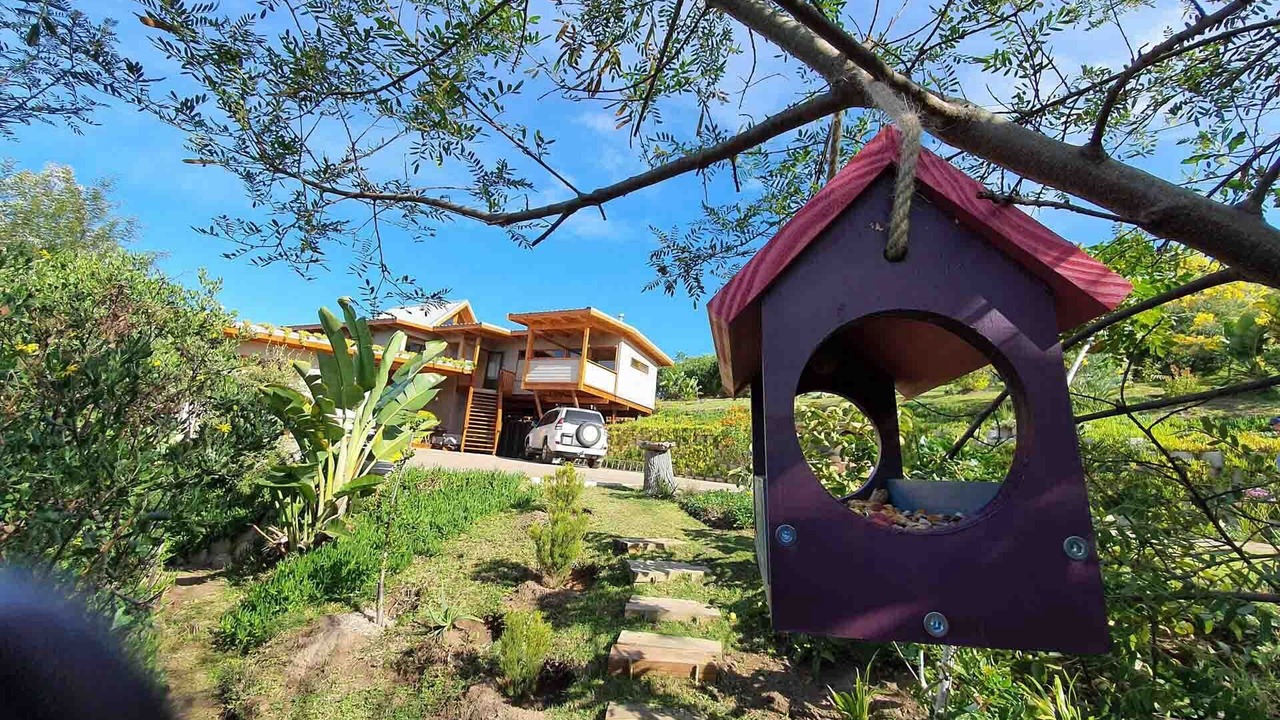 Photo of Outdoor in Paradise