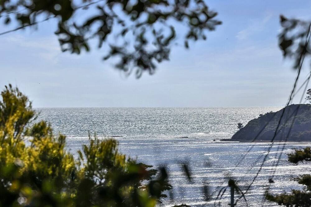 Photo of Others in Bolinas