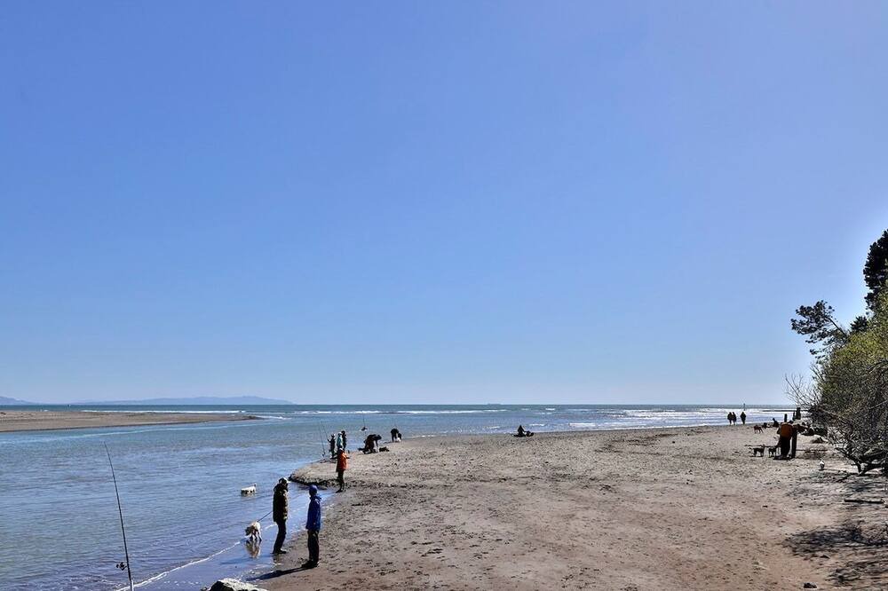 Photo of Others in Bolinas