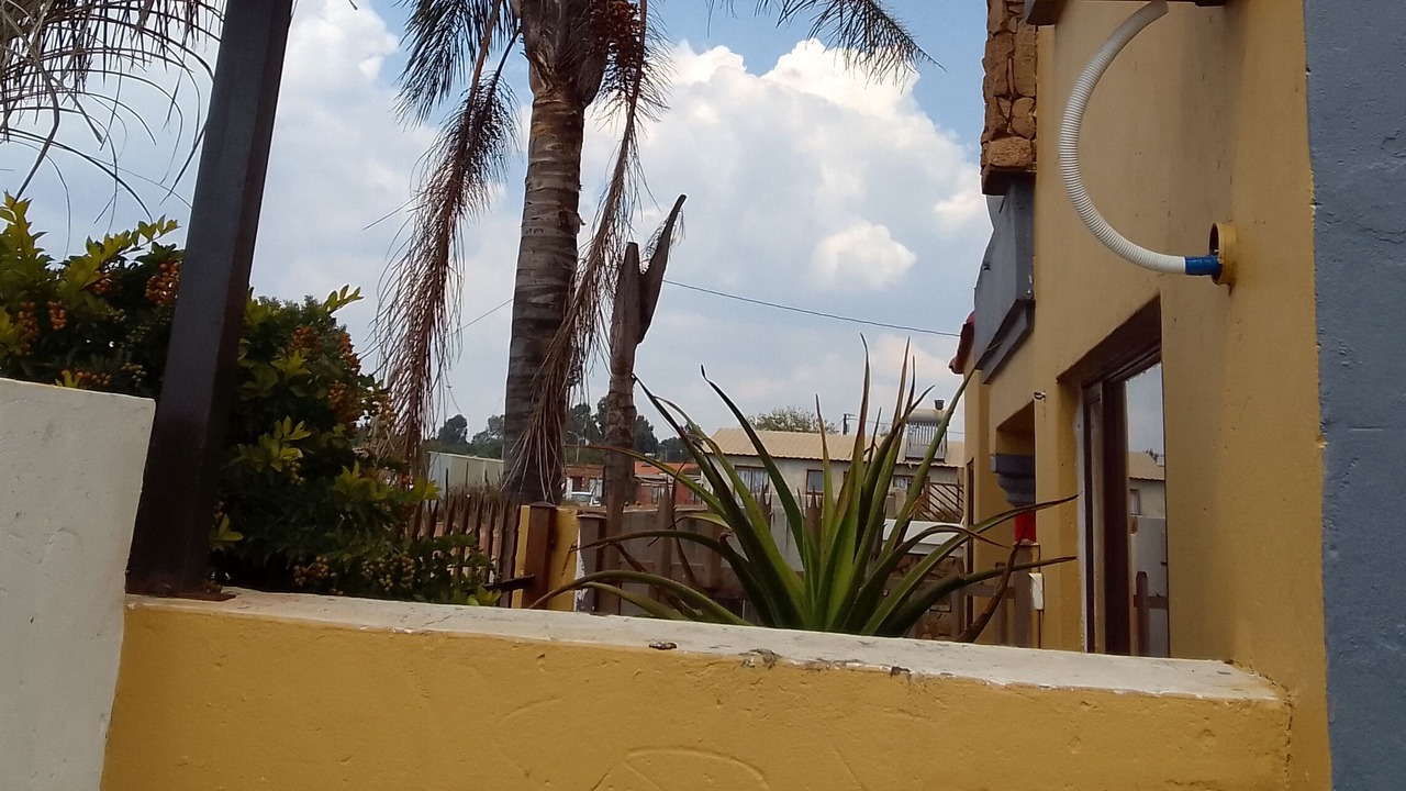 Photo of Outdoor in Middelburg
