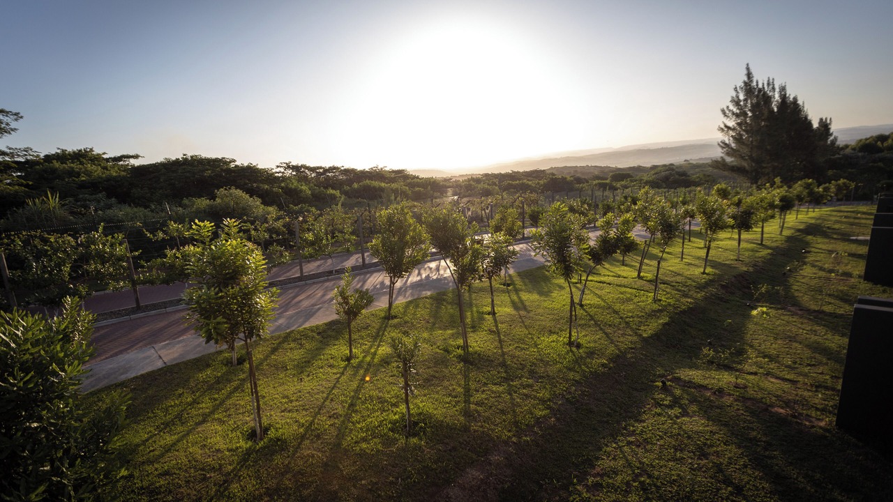Photo of Outdoor in Salt Rock