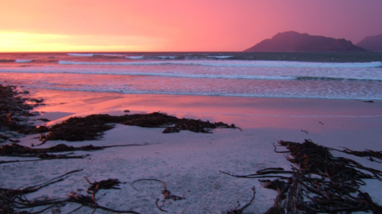 Photo of Others in Kommetjie