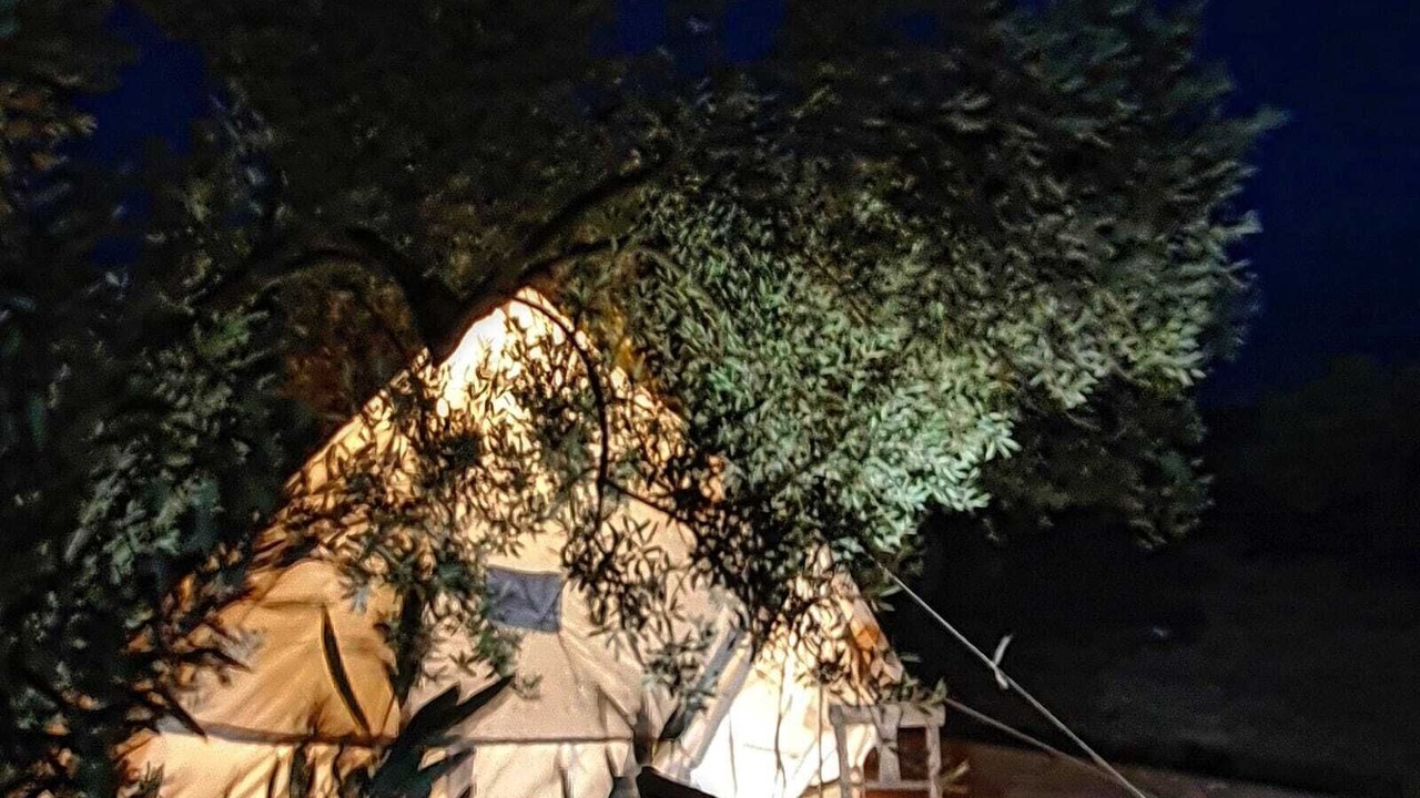 Photo of Outdoor in Ayvacik