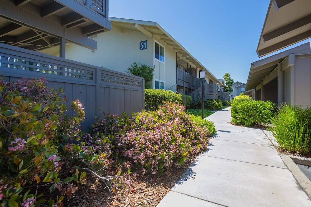 Photo of Outdoor in Cupertino