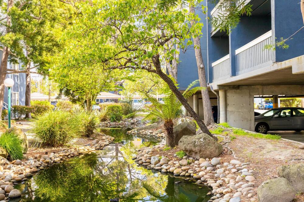 Photo of Outdoor in West Alameda