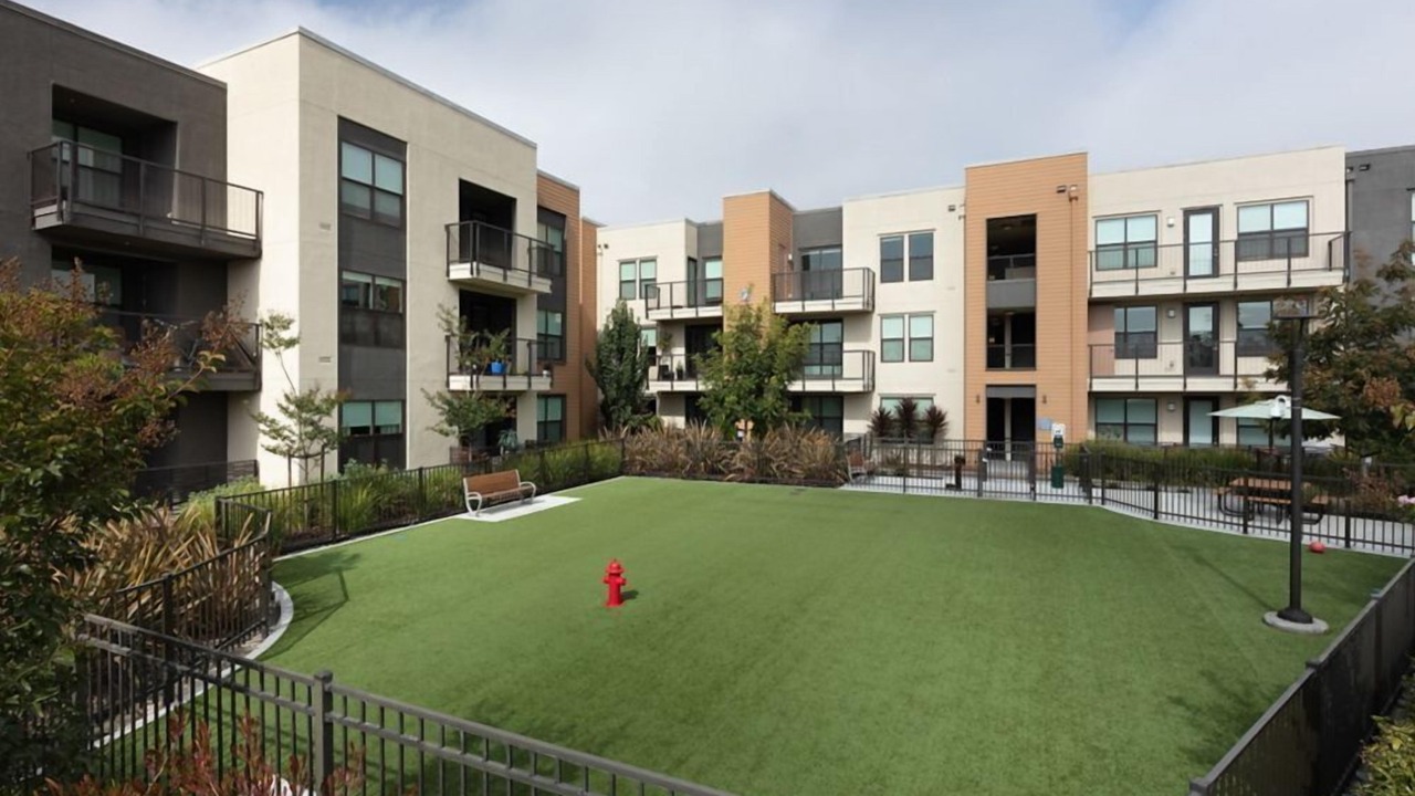 Photo of Outdoor in Menlo Park