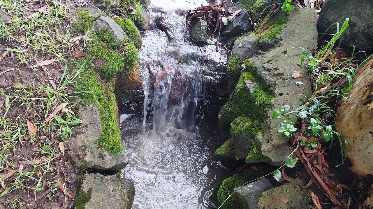 Photo of Outdoor in Murphy's Rust