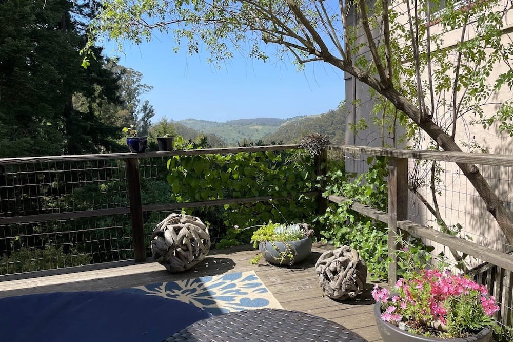 Photo of Outdoor in Berkeley Hills