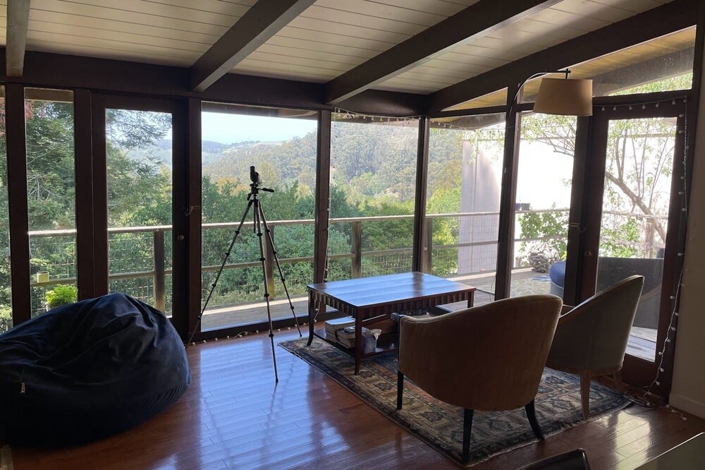 Photo of Others in Berkeley Hills