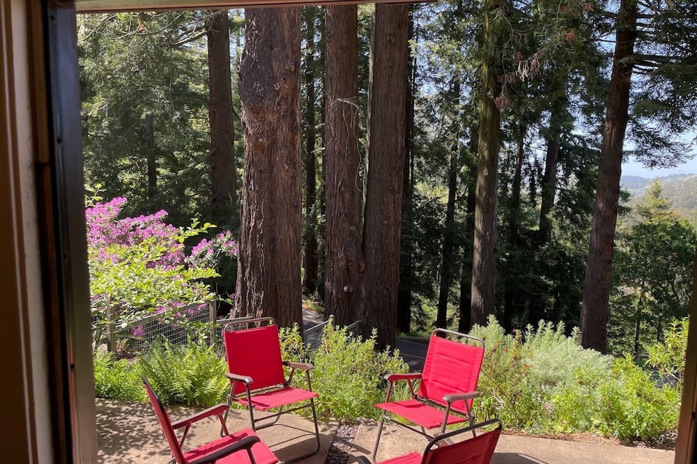 Photo of Outdoor in Berkeley Hills