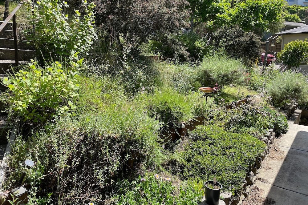 Photo of Outdoor in Berkeley Hills