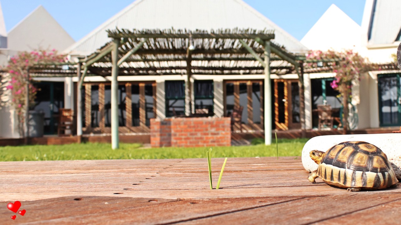 Photo of Outdoor in Langebaan