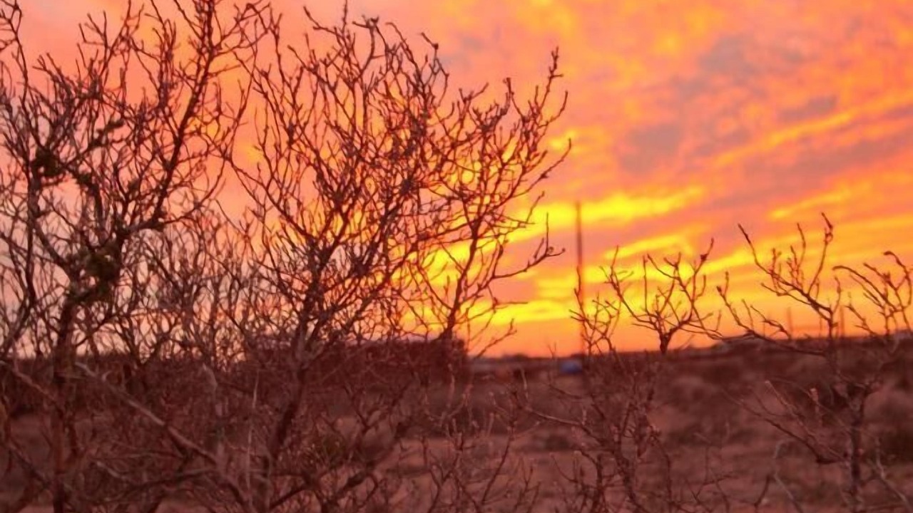 Photo of Outdoor in Langebaan