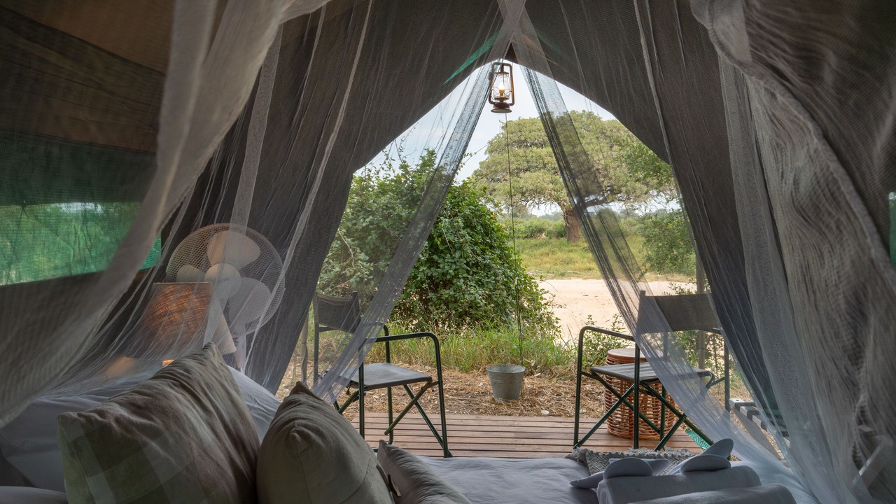 Photo of Others in Kruger National Park