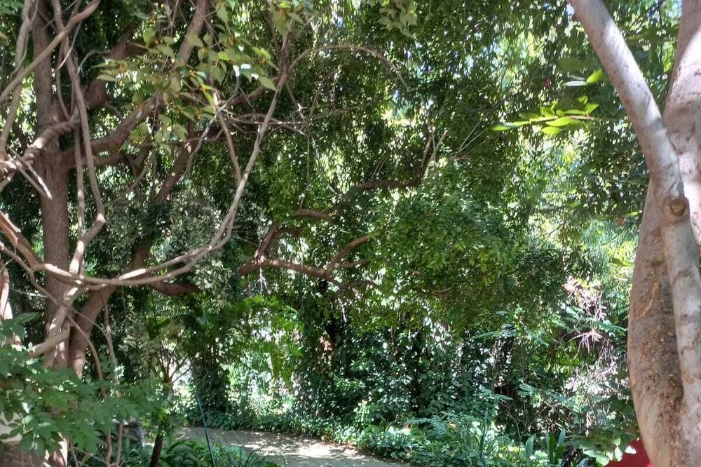 Photo of Outdoor in Waverley