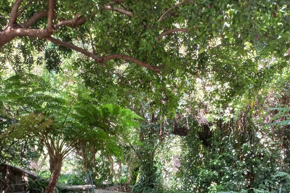 Photo of Outdoor in Waverley