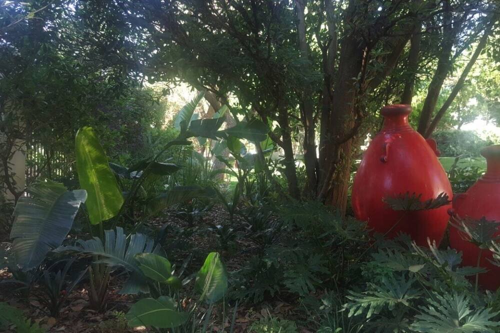 Photo of Outdoor in Waverley