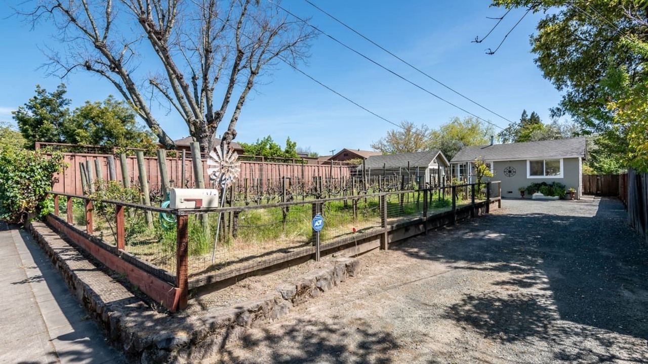 Photo of Outdoor in Sonoma