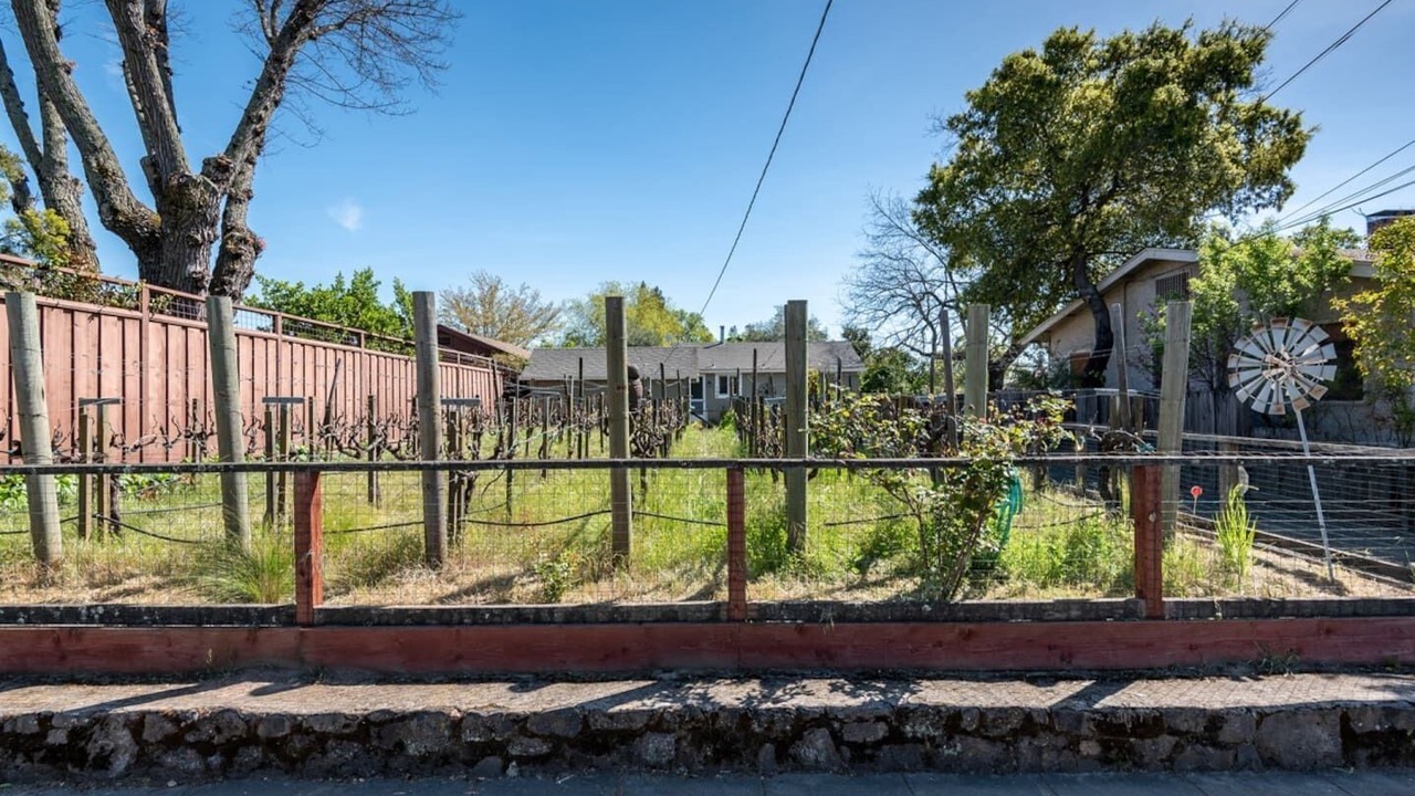 Photo of Outdoor in Sonoma