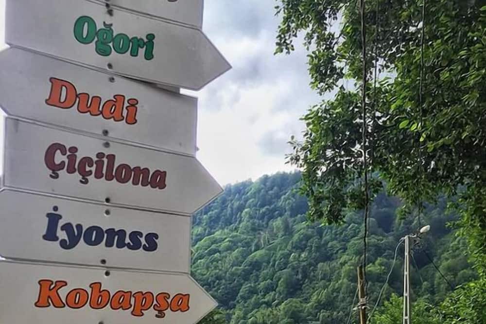 Photo of Outdoor in Pazar
