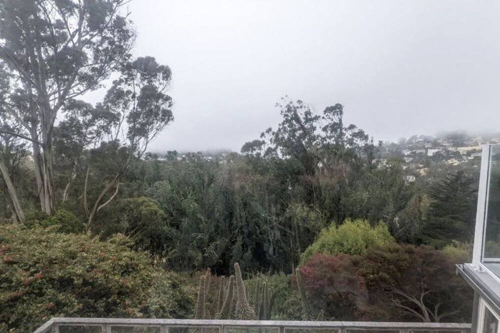 Photo of Others in Forest Knolls