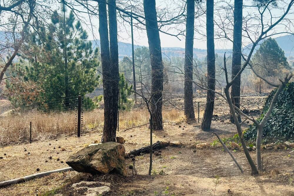 Photo of Others in Muldersdrift