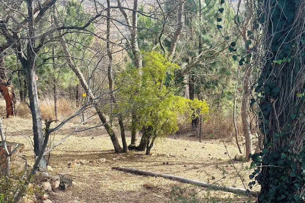 Photo of Outdoor in Muldersdrift
