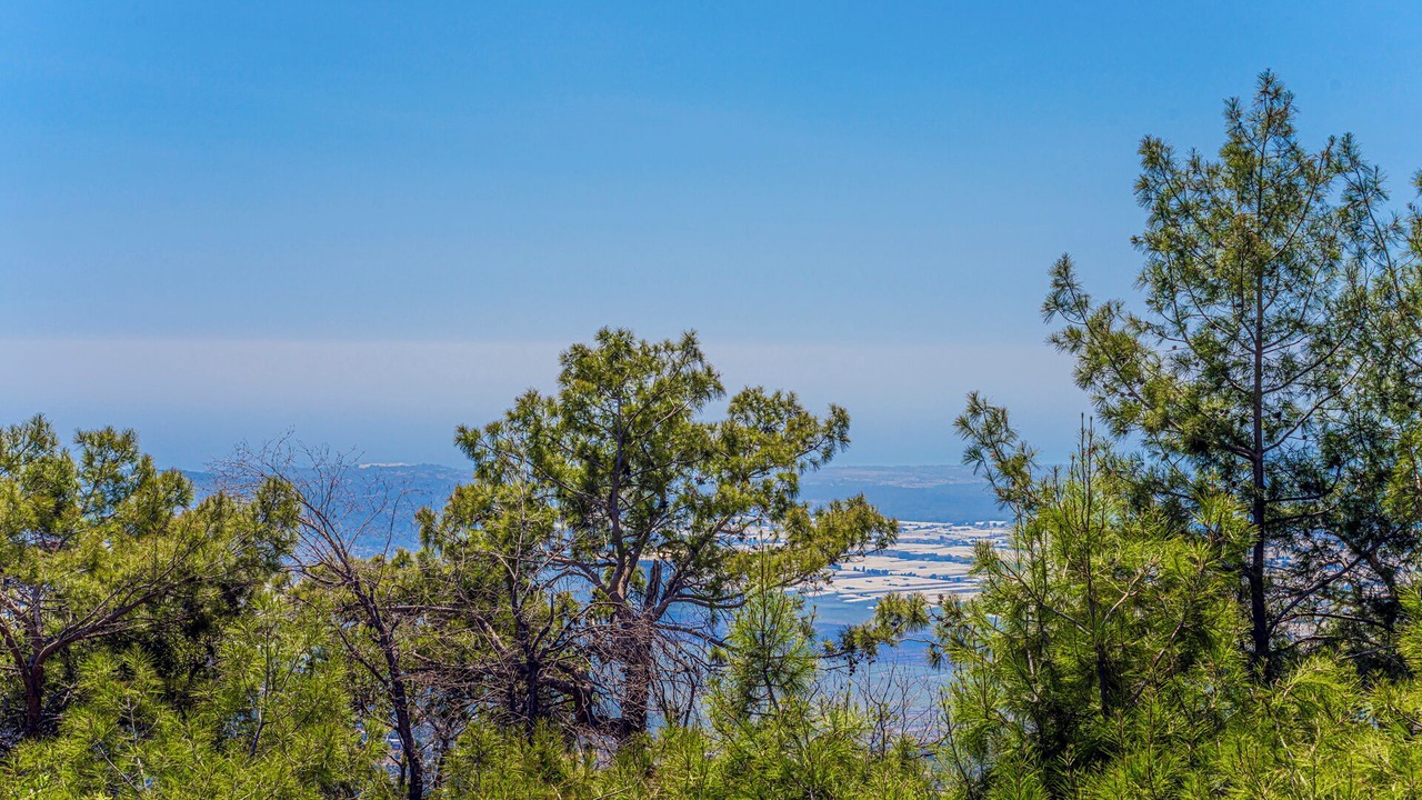 Photo of Outdoor in Uzumlu