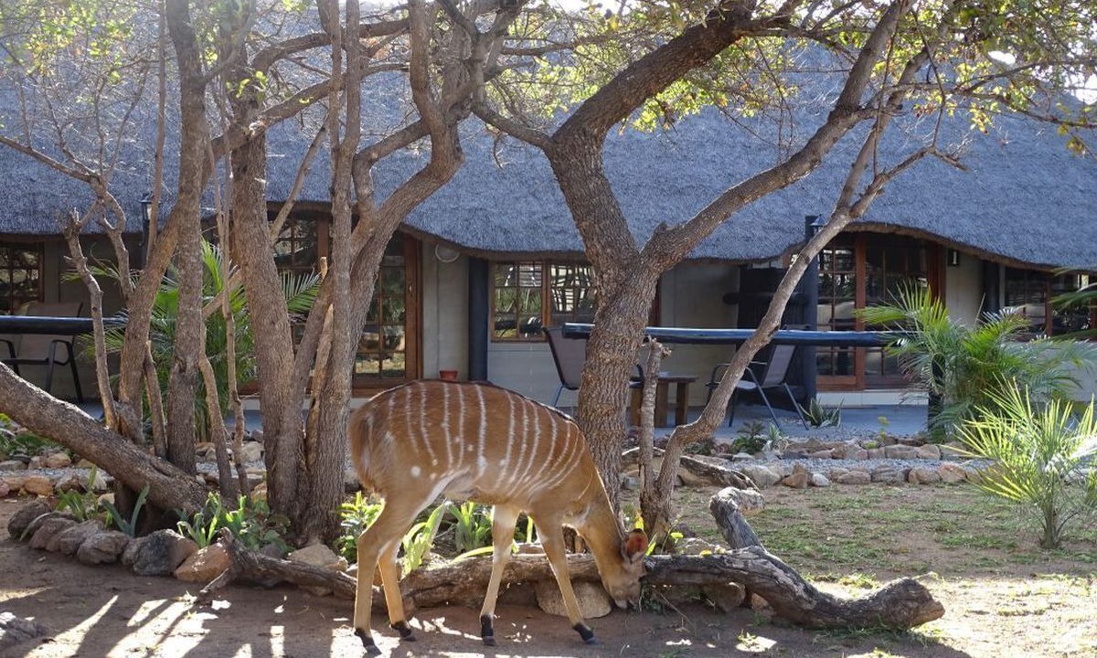 Photo of Outdoor in Musina