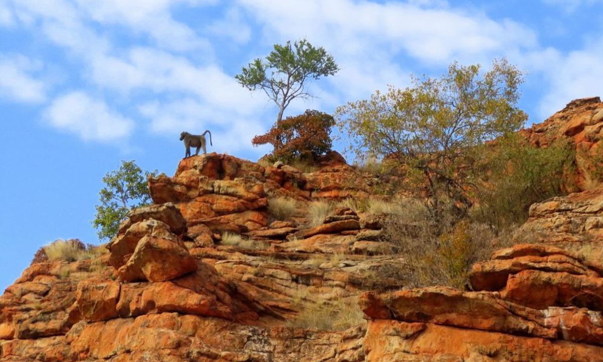 Photo of Outdoor in Musina