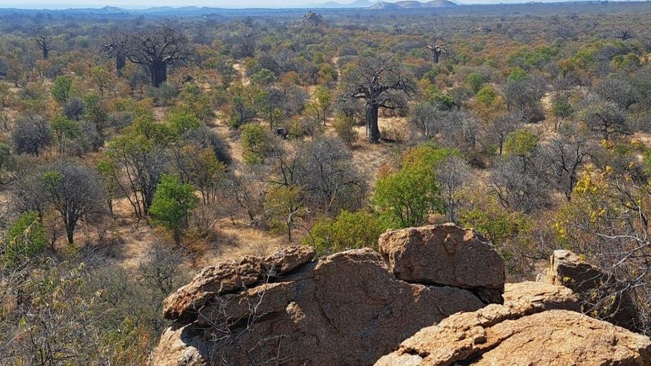 Photo of Others in Musina