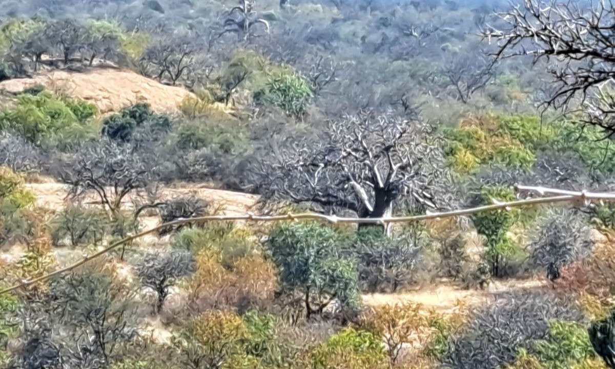 Photo of Outdoor in Musina
