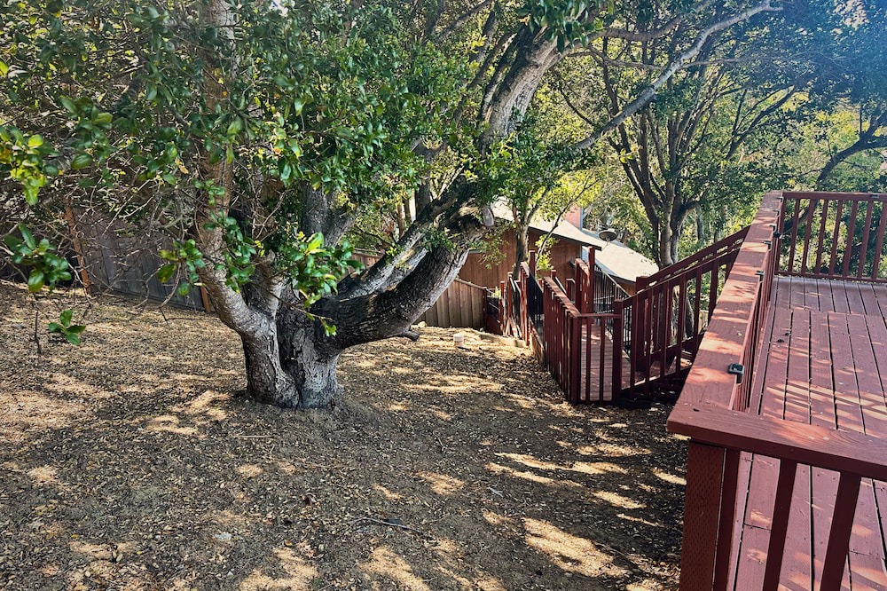 Photo of Outdoor in Belmont