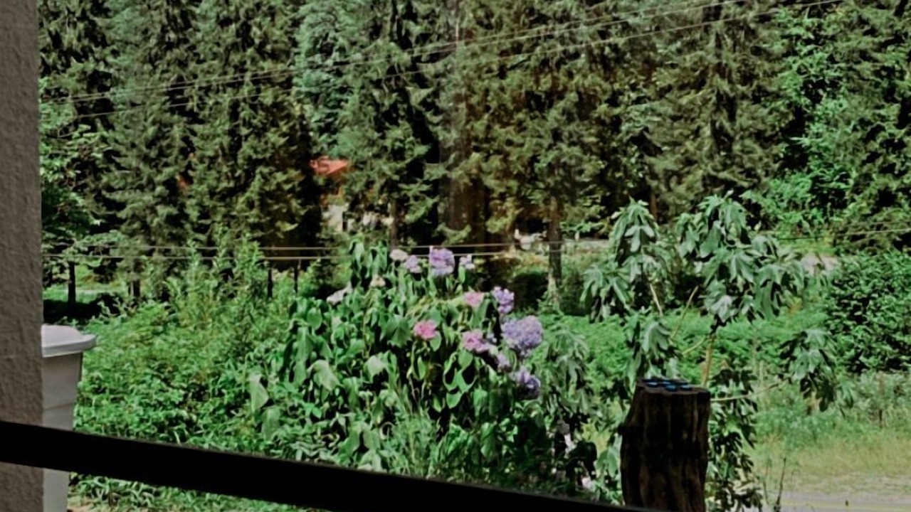 Photo of Others in Rize