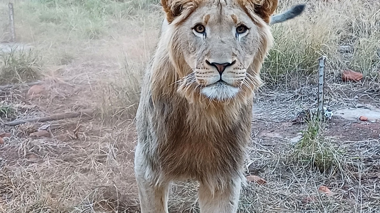 Photo of Outdoor in Thabazimbi