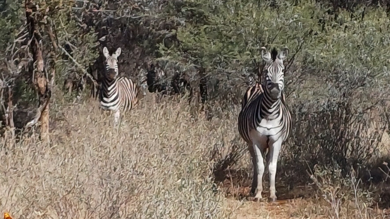 Photo of Outdoor in Thabazimbi