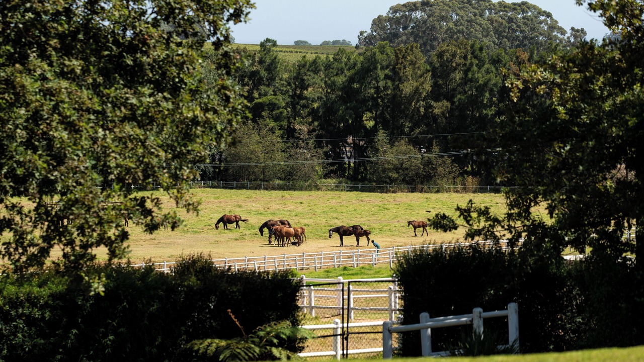 Photo of Outdoor in Flora Park