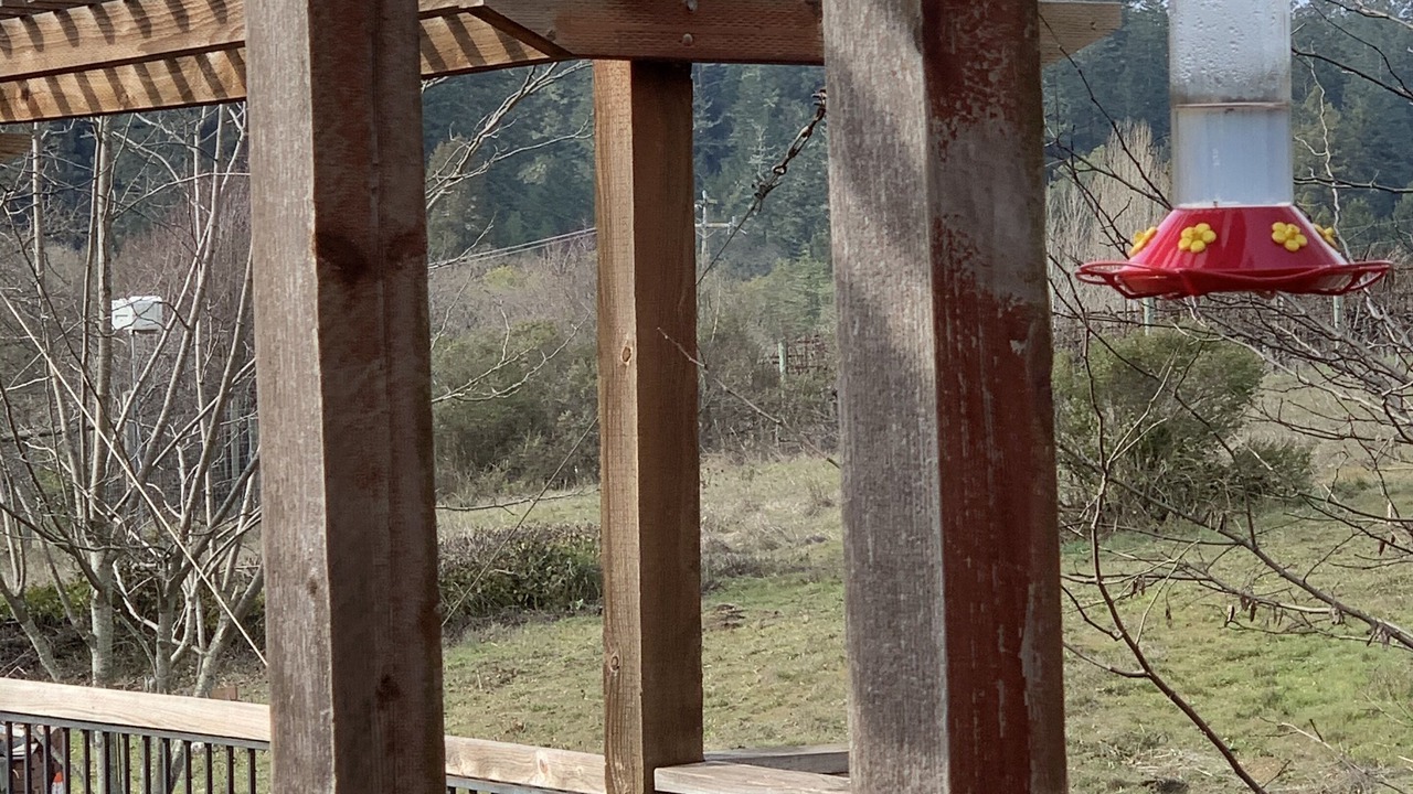 Photo of Outdoor in Lagunitas-Forest Knolls