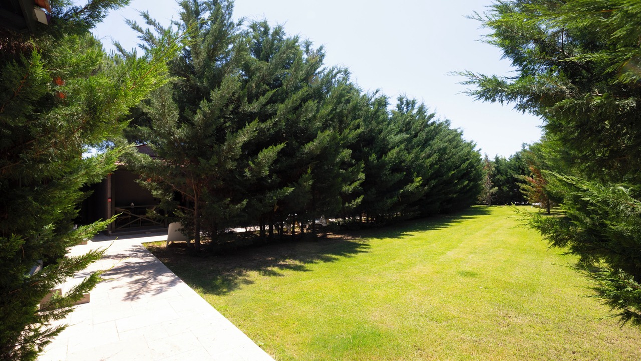 Photo of Outdoor in Alacati