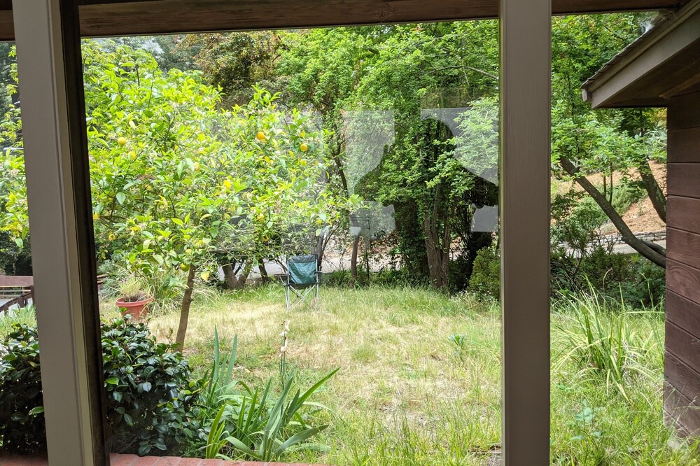 Photo of Outdoor in Merriewood