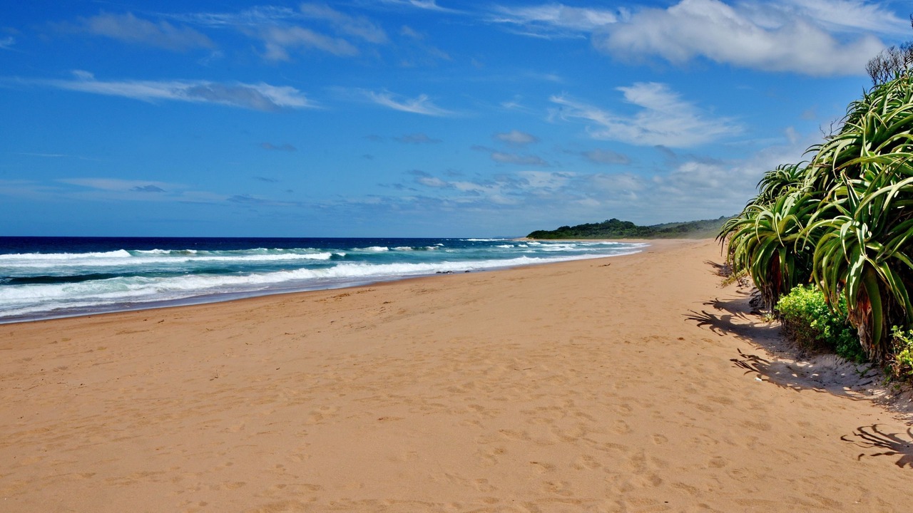 Photo of Others in Zinkwazi Beach