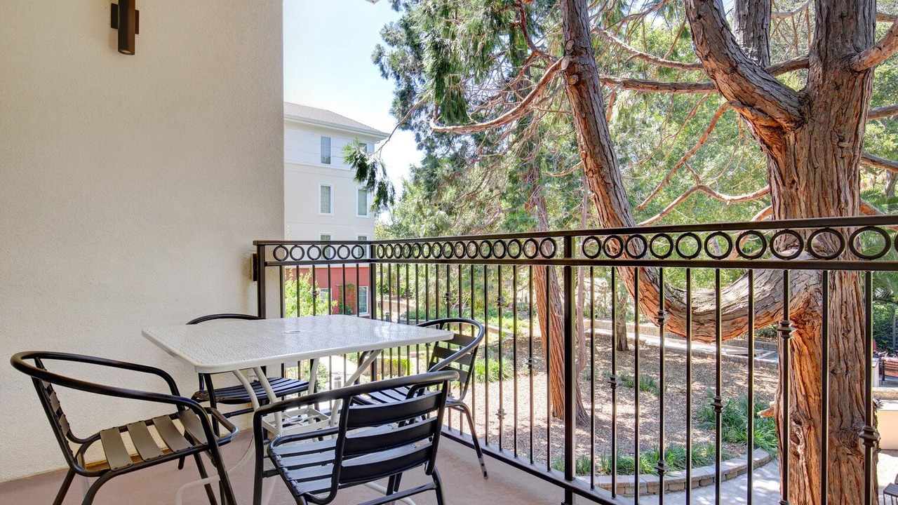 Photo of Outdoor in Central San Mateo