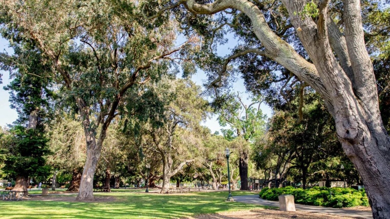 Photo of Outdoor in Central San Mateo