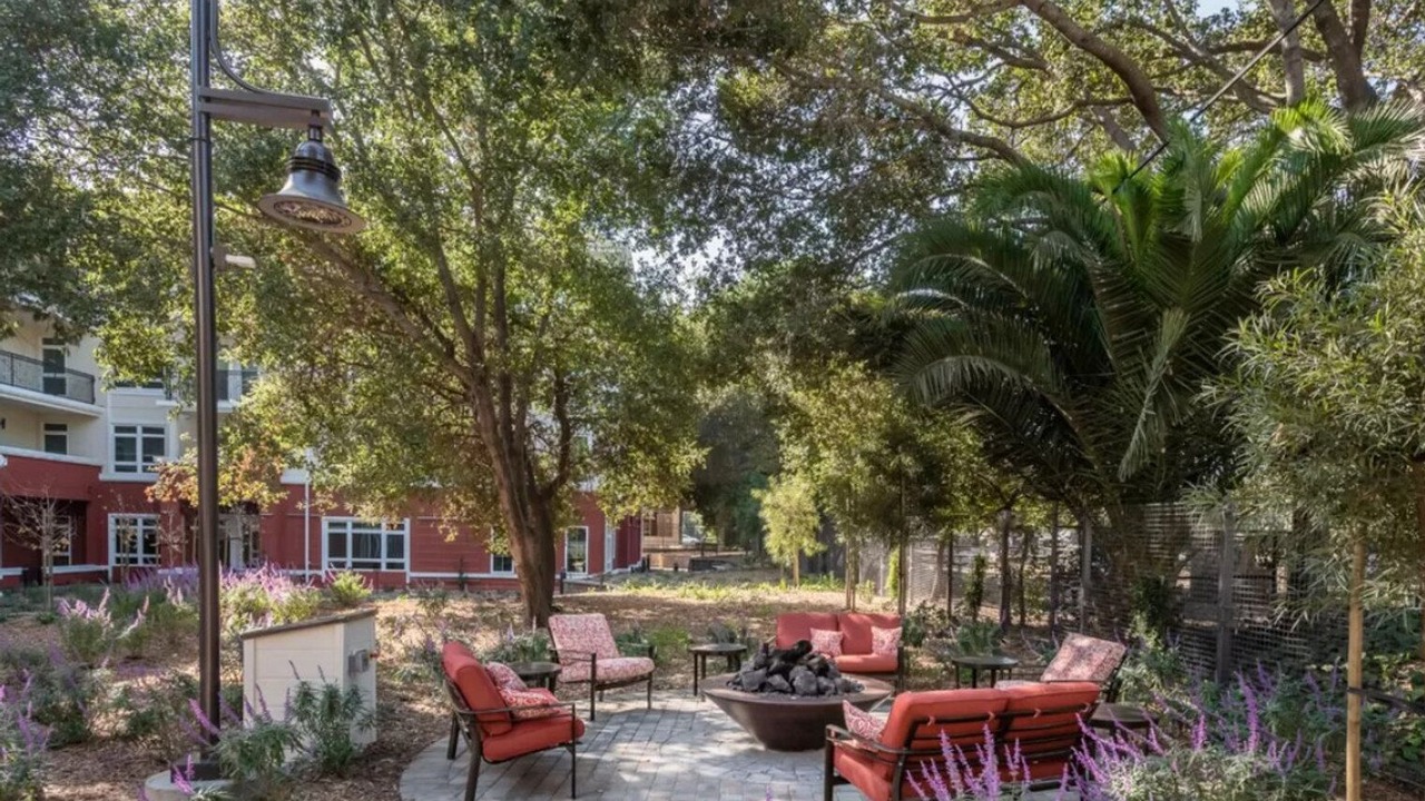 Photo of Outdoor in Central San Mateo