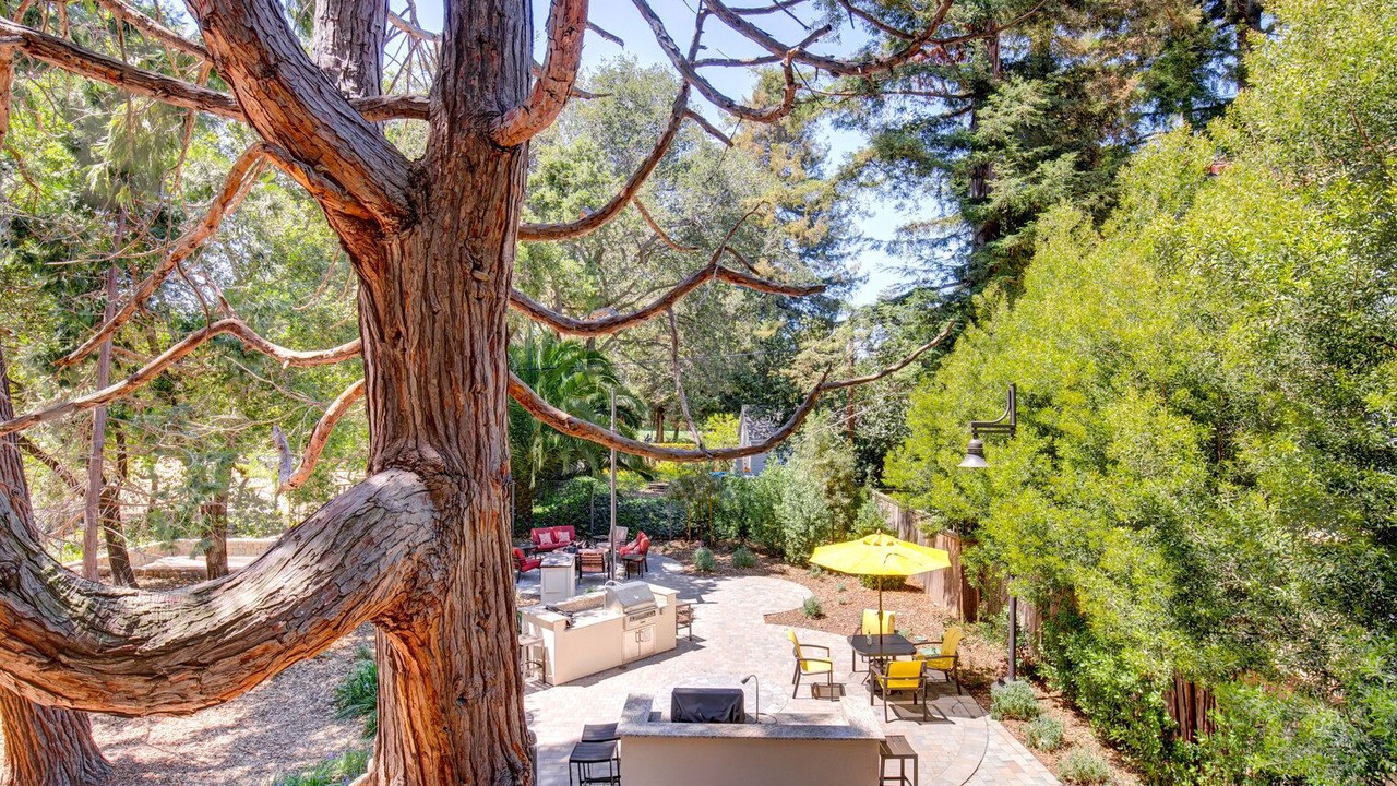Photo of Outdoor in Central San Mateo