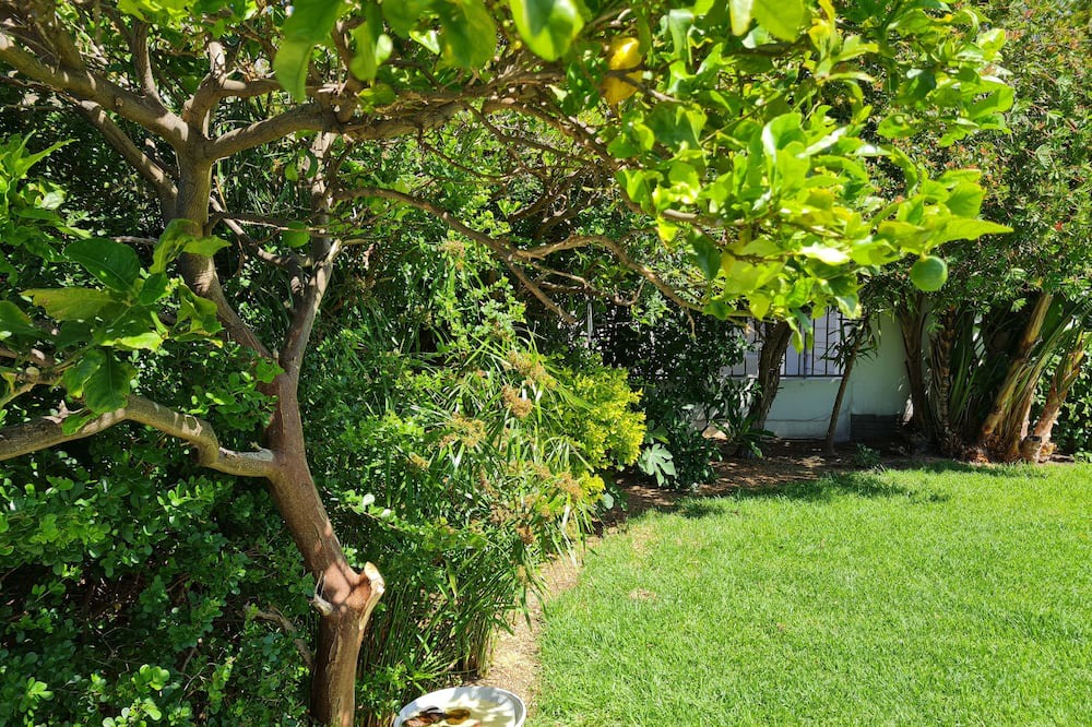 Photo of Outdoor in Gordons Bay Central