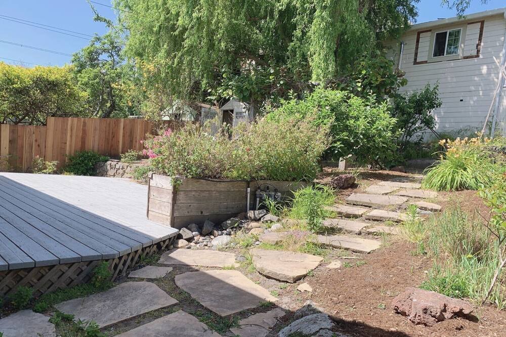 Photo of Outdoor in San Bruno