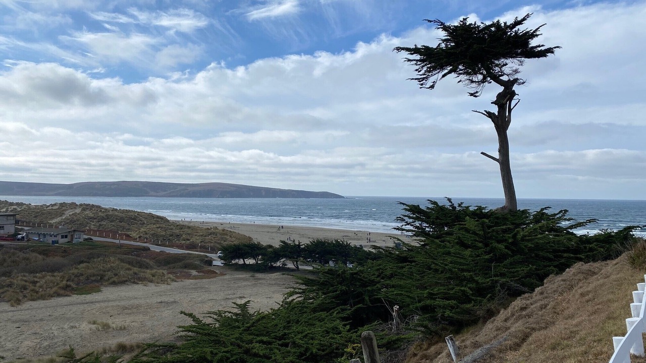 Photo of Others in Dillon Beach