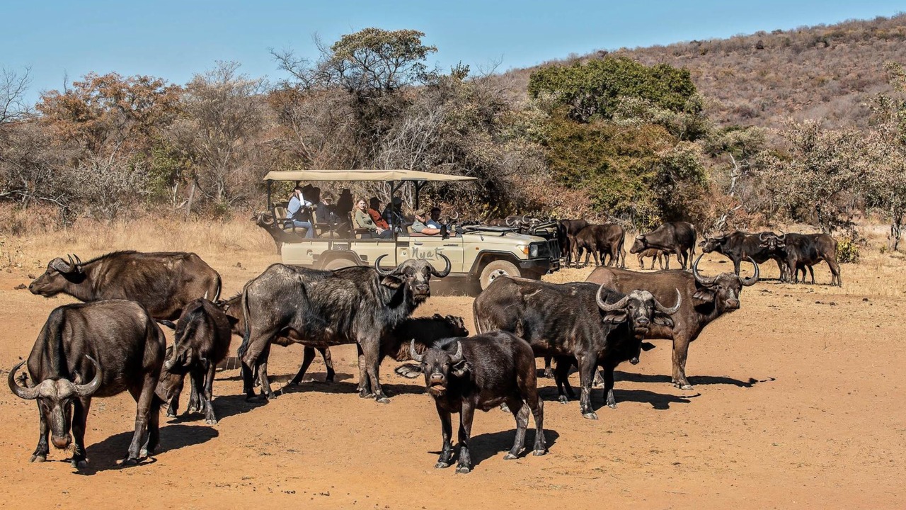 Photo of Others in Waterberg