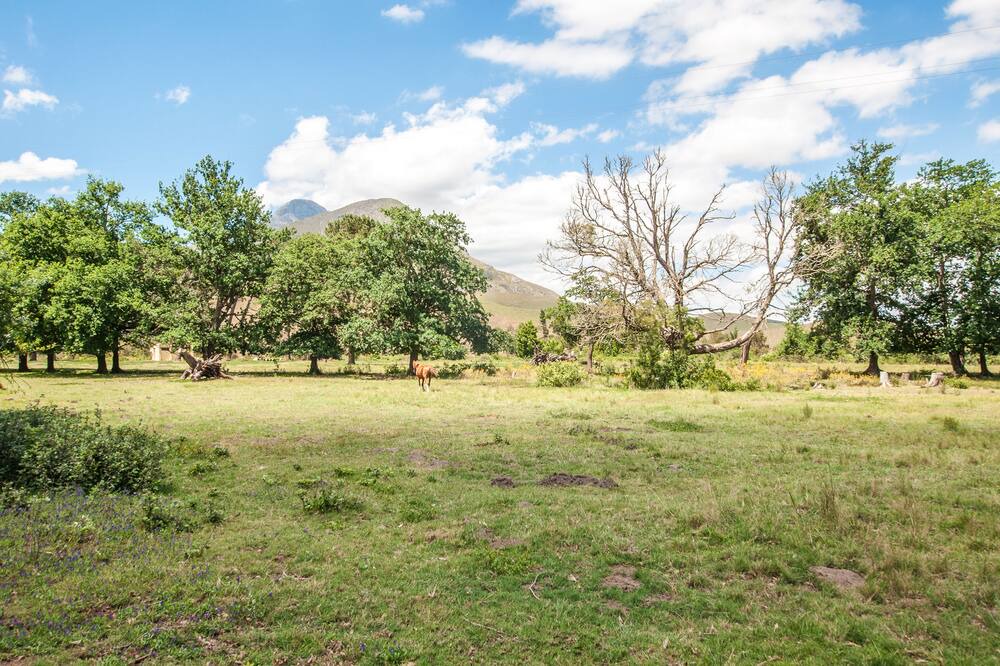 Photo of Outdoor in Greyton
